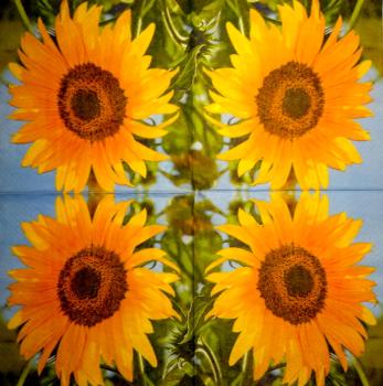 002 Sunflowers - 3 ply - CS